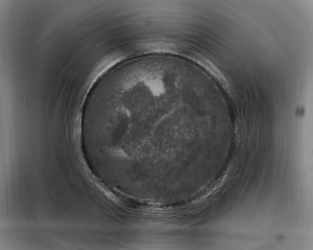 X0000098070790200804041124