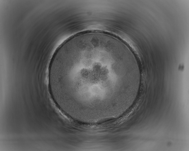 X0000098070791200804041124