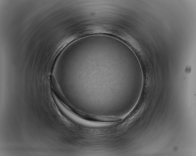 X0000098070793200804041124