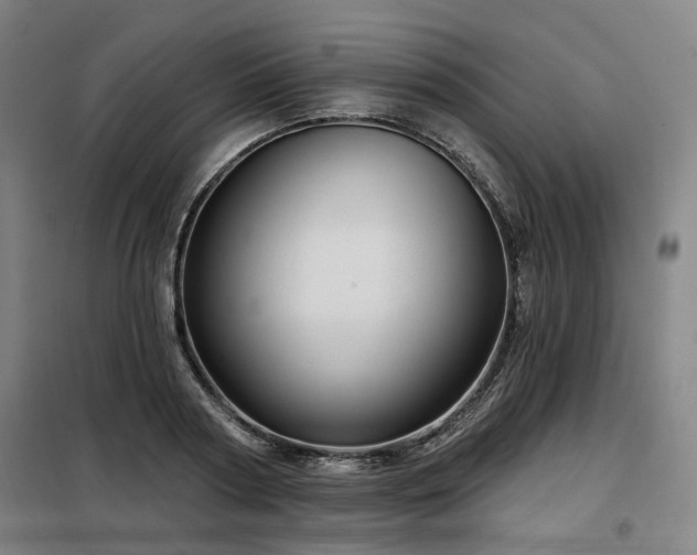 X0000098070794200804041124