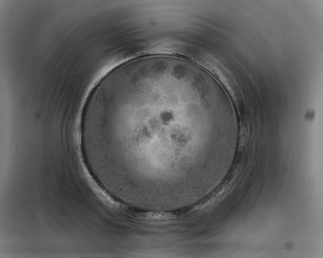 X0000098070795200804041124