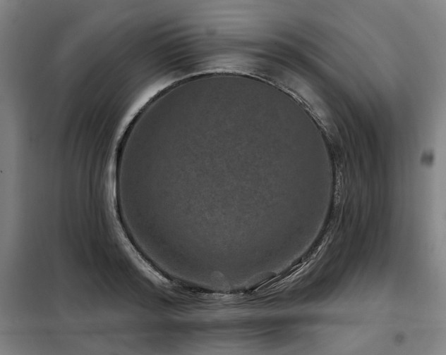 X0000098070796200804041124