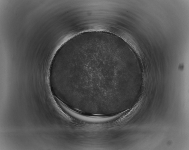 X0000098070797200804041124