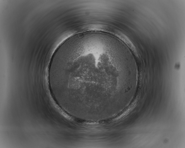 X0000098070798200804041124