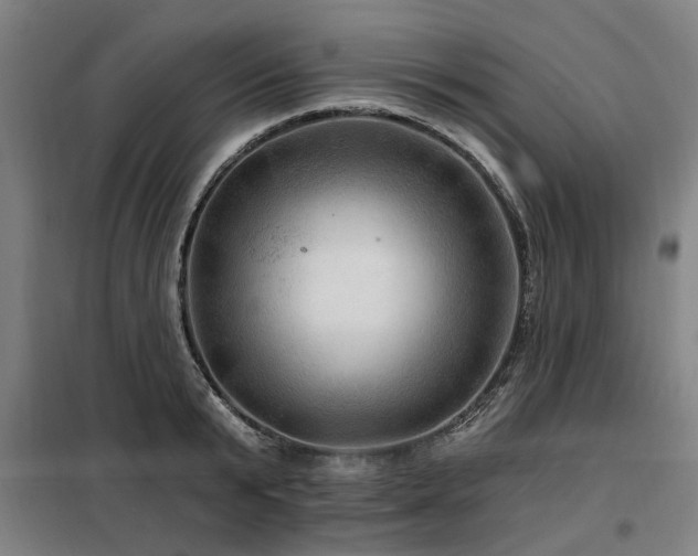 X0000098070799200804041124