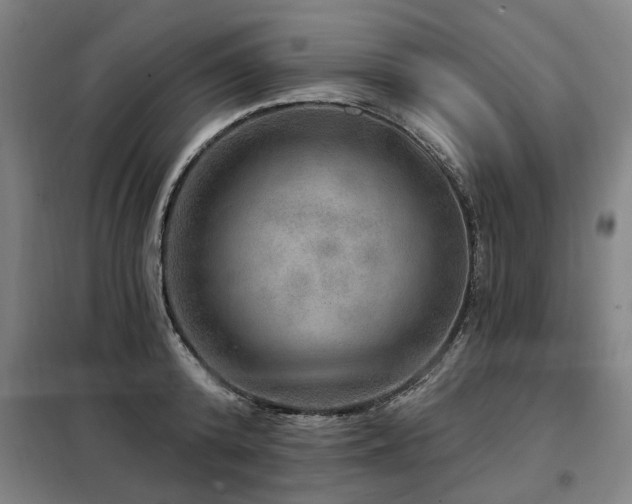 X0000098070800200804041124