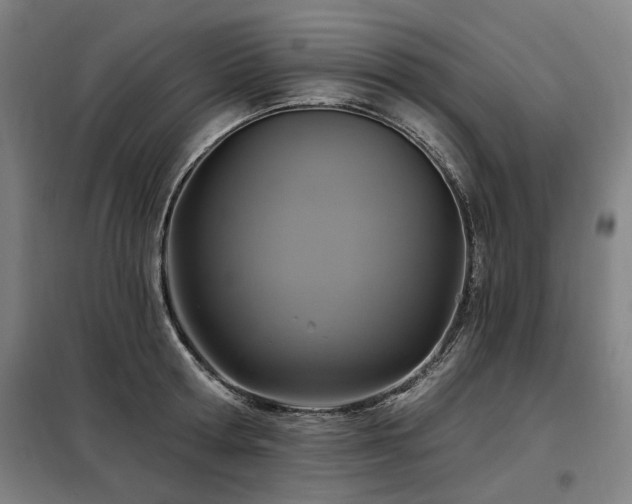 X0000098070802200804041123