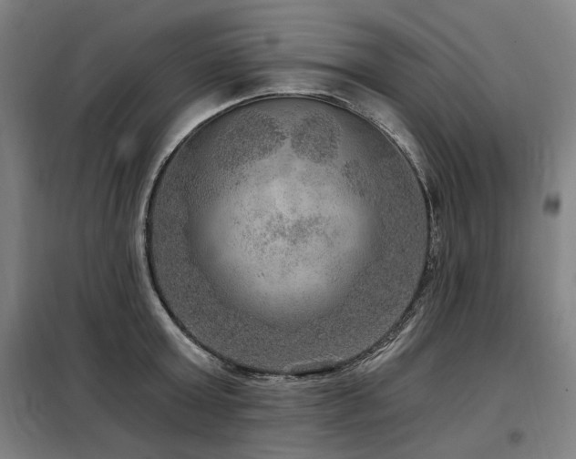 X0000098070803200804041123