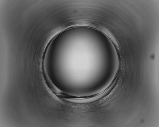 X0000098070805200804041123