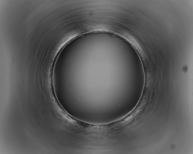 X0000098070806200804041123