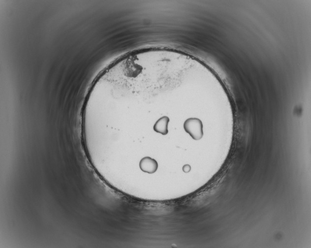 X0000098070807200804041123