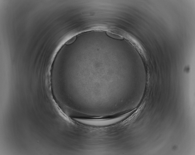 X0000098070808200804041123