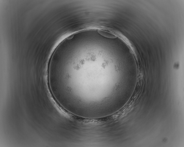 X0000098070811200804041123