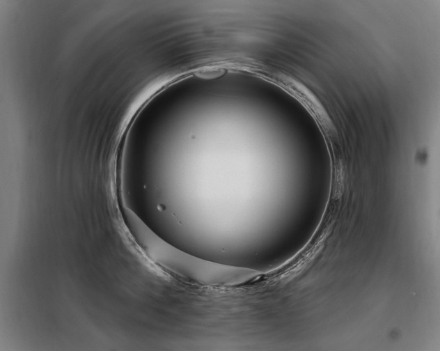 X0000098070812200804041123