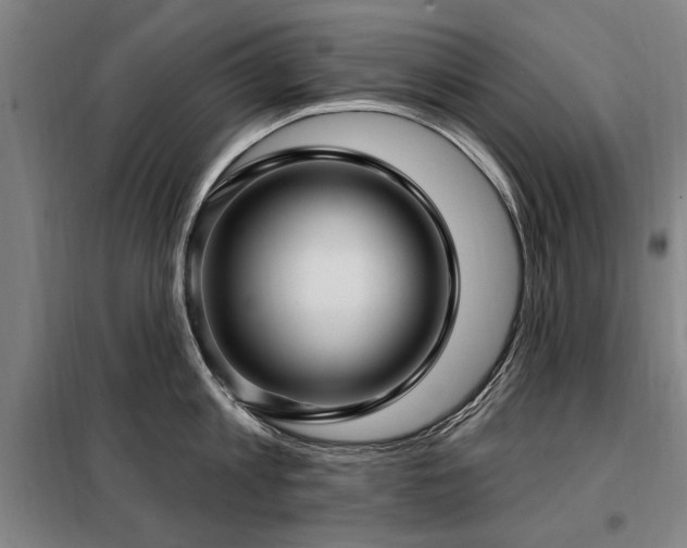 X0000098070813200804041123