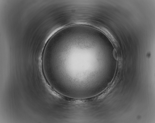 X0000098070814200804041123