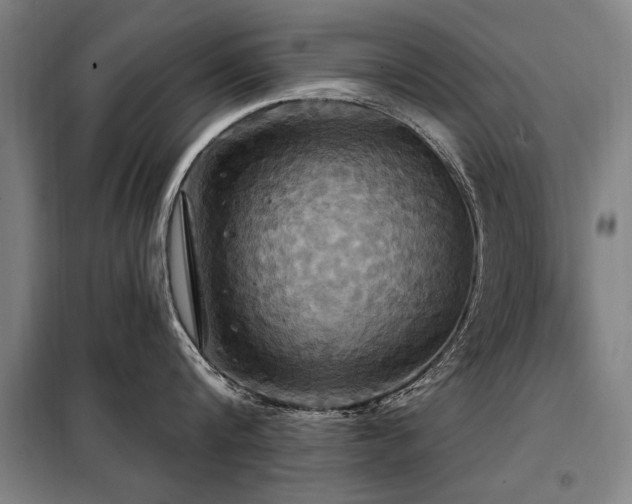 X0000098070816200804041123