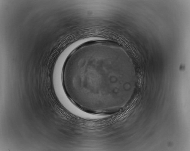 X0000098070818200804041123