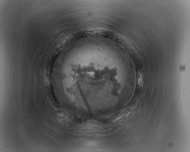 X0000098070819200804041123