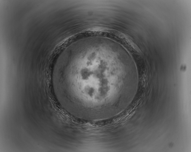 X0000098070821200804041123