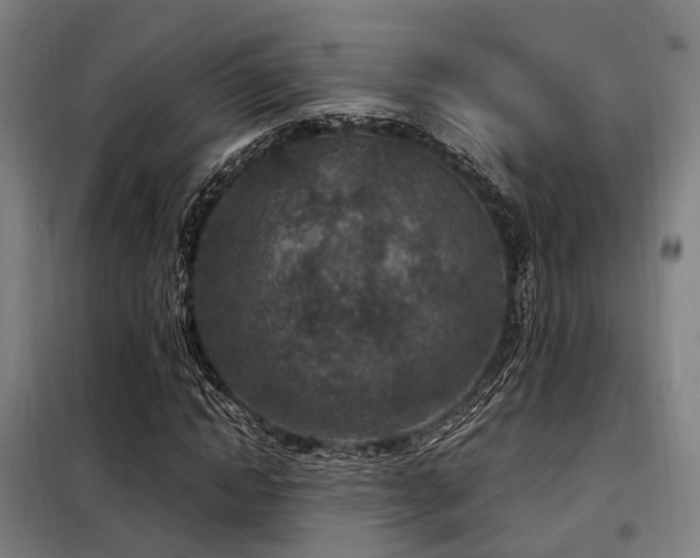 X0000098070822200804041123