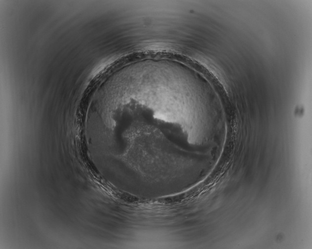 X0000098070823200804041123