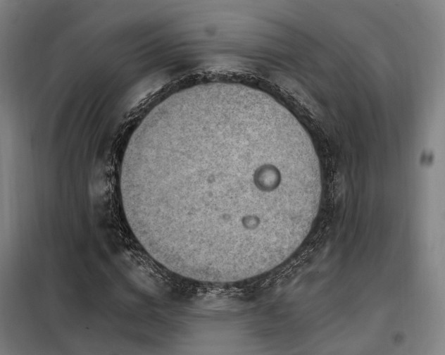 X0000098070824200804041123