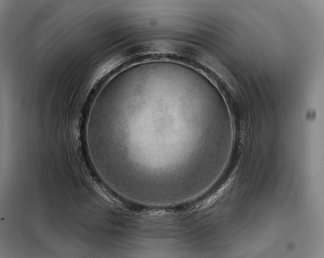 X0000098070826200804041123