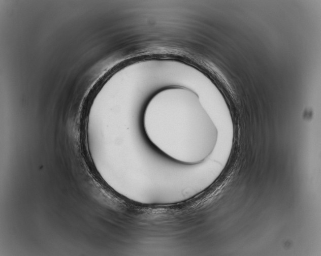 X0000098070828200804041123