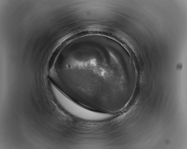 X0000098070829200804041123