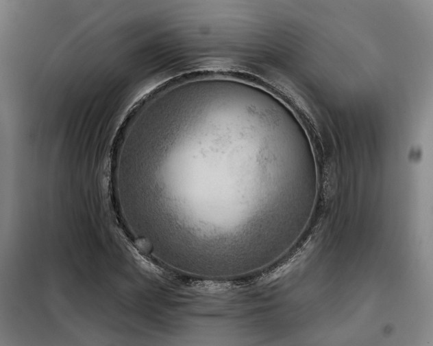 X0000098070831200804041123