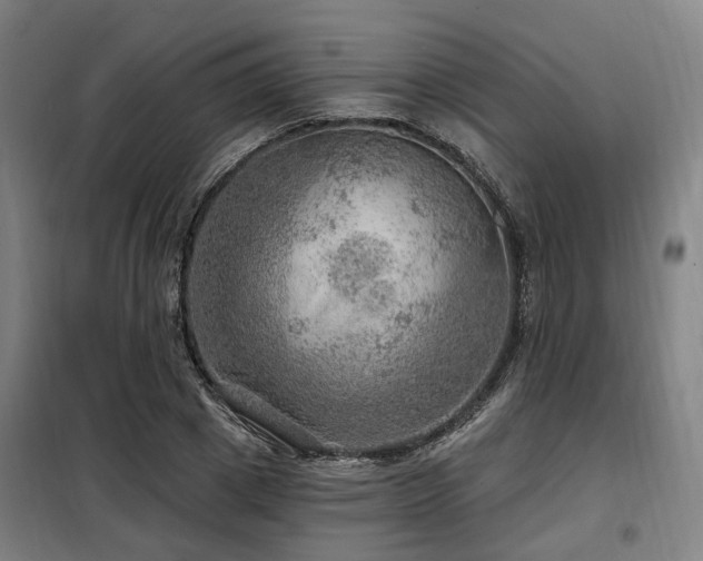 X0000098070833200804041123