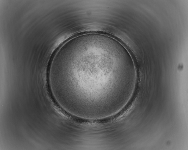 X0000098070834200804041123