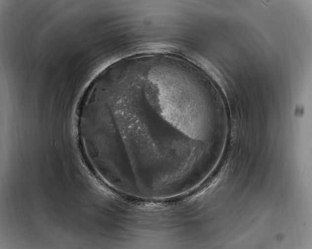 X0000098070835200804041123