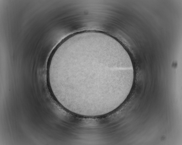 X0000098070836200804041123