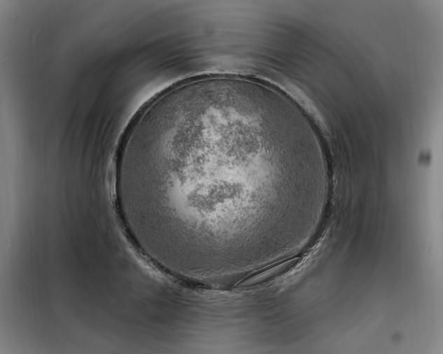 X0000098070838200804041123