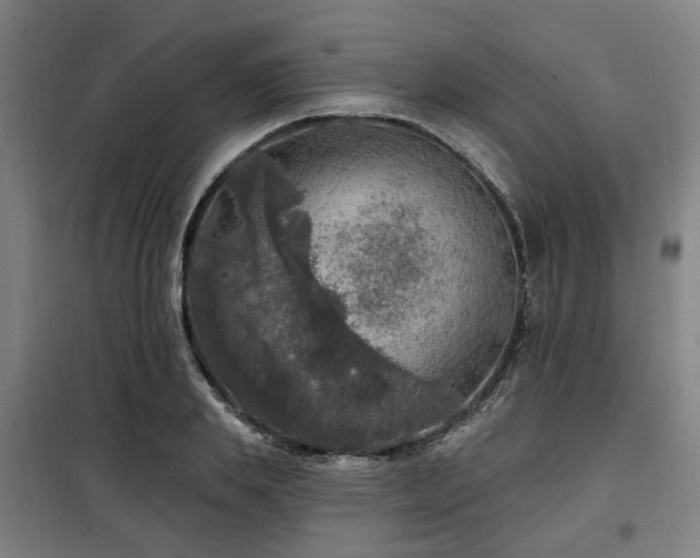 X0000098070839200804041123