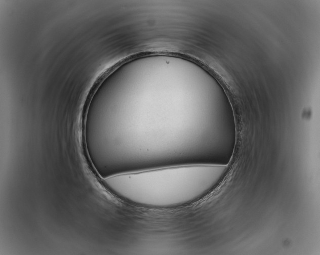 X0000098070840200804041123