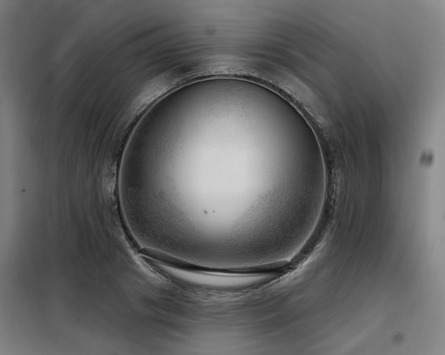 X0000098070841200804041123