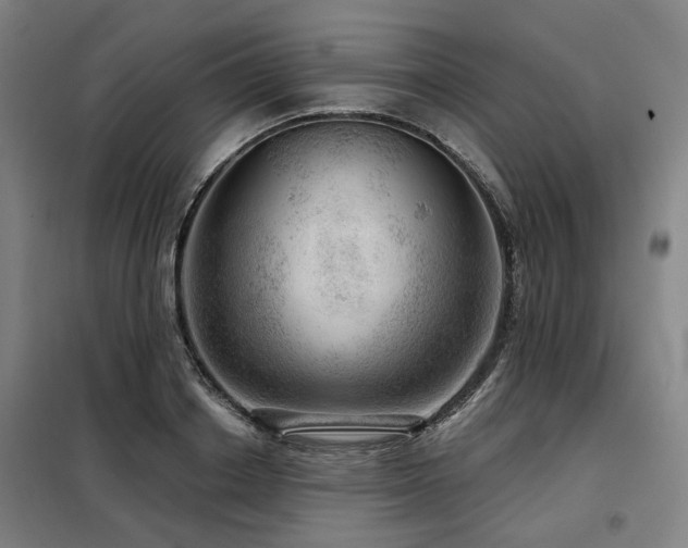 X0000098070842200804041123