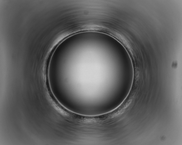 X0000098070843200804041123