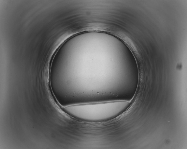 X0000098070844200804041123