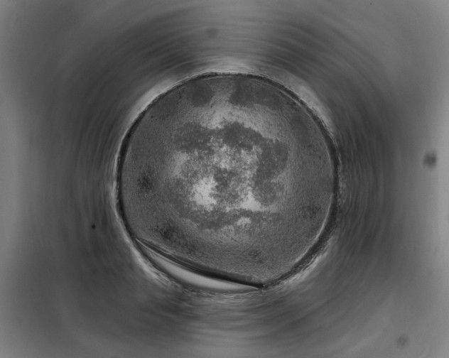 X0000098070845200804041123