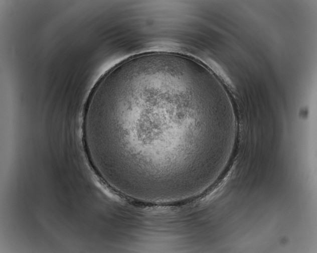 X0000098070846200804041123