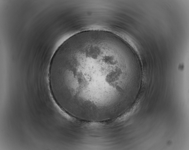 X0000098070847200804041123