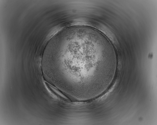 X0000098070849200804041123