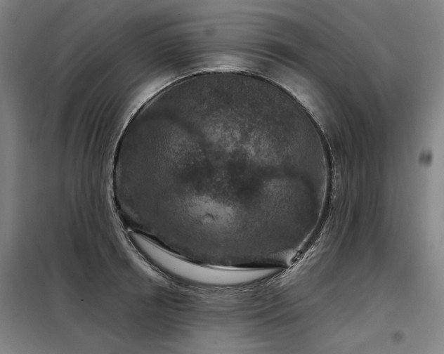 X0000098070850200804041123