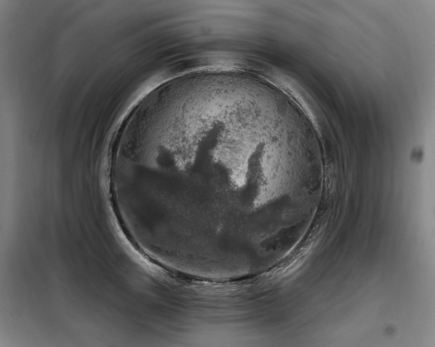 X0000098070851200804041123