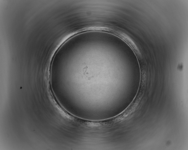 X0000098070852200804041123