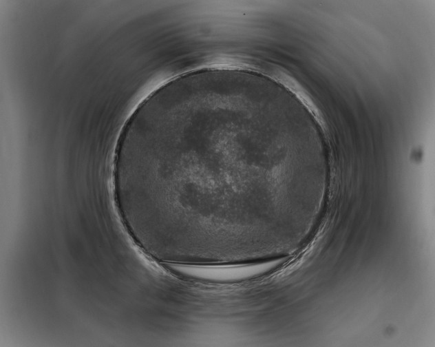 X0000098070853200804041123